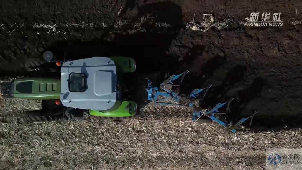 吉林多地秋收按下“快进键”