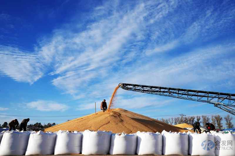政策措施加力显效 经济运行恢复向好