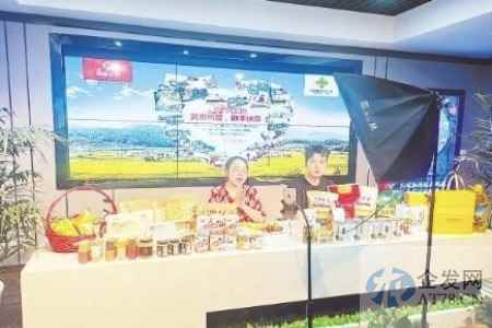 供销社的过去、现在和未来