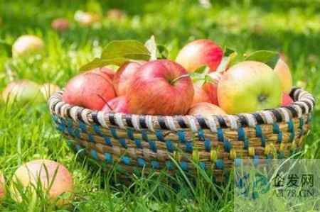 综述：RCEP助力东盟国家农产品出口中国