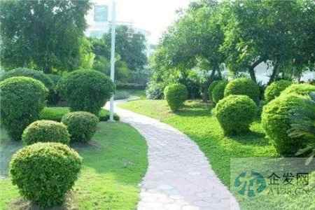 住房和城乡建设部：开展城市园林绿化垃圾处理和资源化利用试点