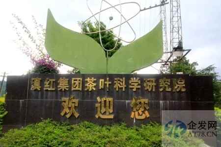 滇红集团破产重整，茶农称百万货款被拖欠，老板曾盲目投资买直升机