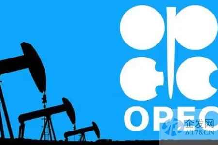 再提“镍版欧佩克”！印尼官员借G20拉拢加拿大组建联盟