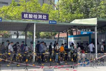 核酸企业排队上市，偶发业绩能走多远