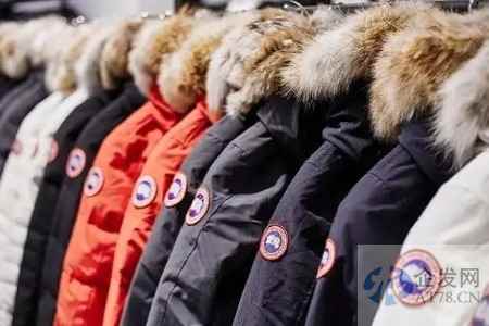 加拿大鹅“过冬”：净利润暴跌66%，门店未见排队长龙