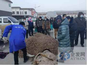 中药感冒药卖断货药材要暴涨？业内人士：确实涨了，但不多