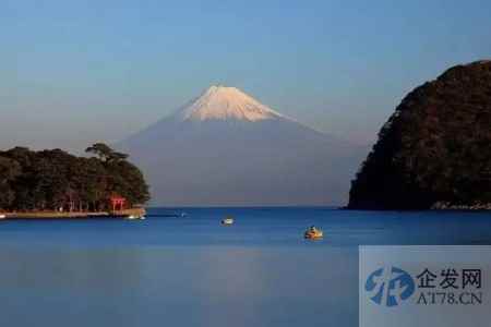 一个试剂盒同时检测新冠和流感！日本正考虑12月上旬起开放销售