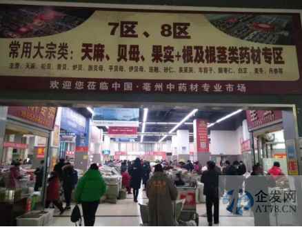 中药感冒药卖断货药材要暴涨？业内人士：确实涨了，但不多