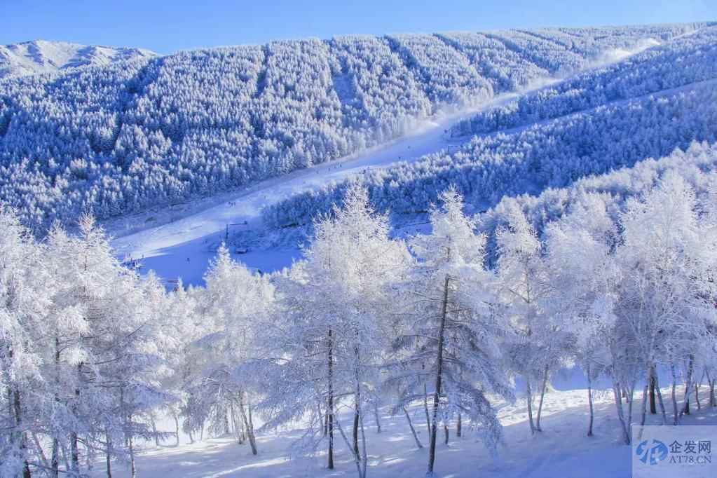 “冷资源”释放“热效应” 中国冰雪产业未来可期