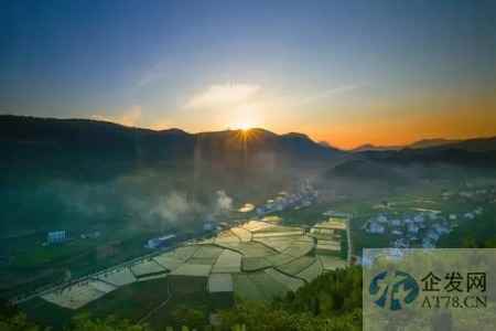 合作社办公司，乡村经济新打开方式