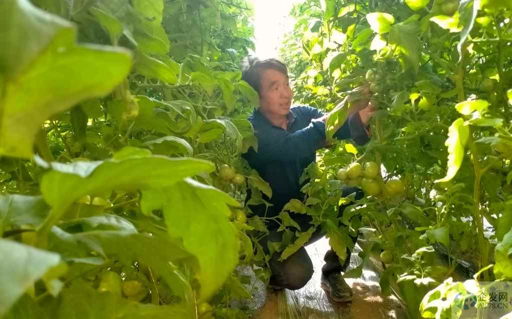 抓住时间窗口,推动经济进一步回稳向上 抓住时间窗口,推动经济进一步回稳向上