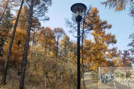 跨地区流动免验码，旅游业复苏读秒