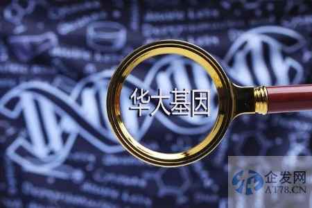 华大基因：关于王某明恶意诋毁的严正声明