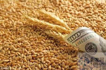 俄罗斯粮食出口恢复正常！12月小麦出口将接近历史最高水平