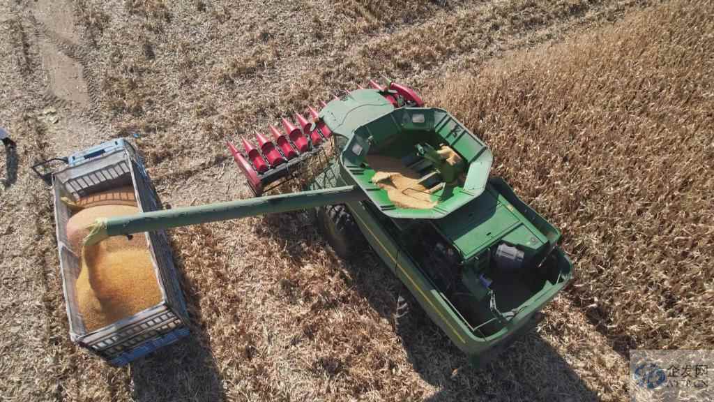 1552.6亿斤！黑龙江粮食总产连续13年全国第一