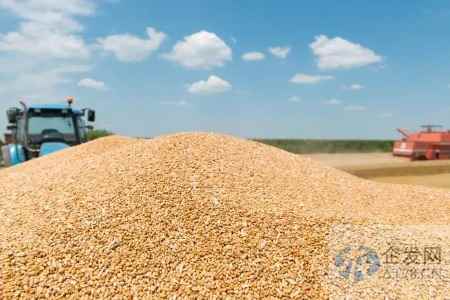 确保中国人的饭碗牢牢端在自己手中