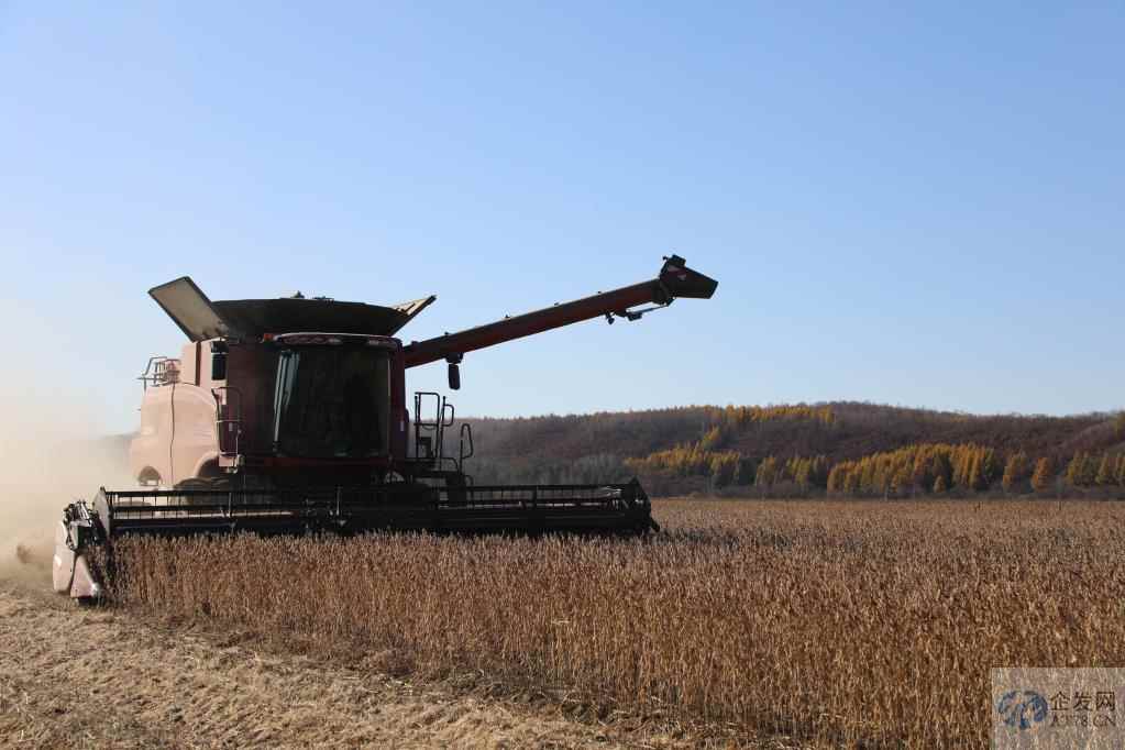 1552.6亿斤!黑龙江粮食总产连续13年全国第一 1552.6亿斤!黑龙江粮食总产连续13年全国第一