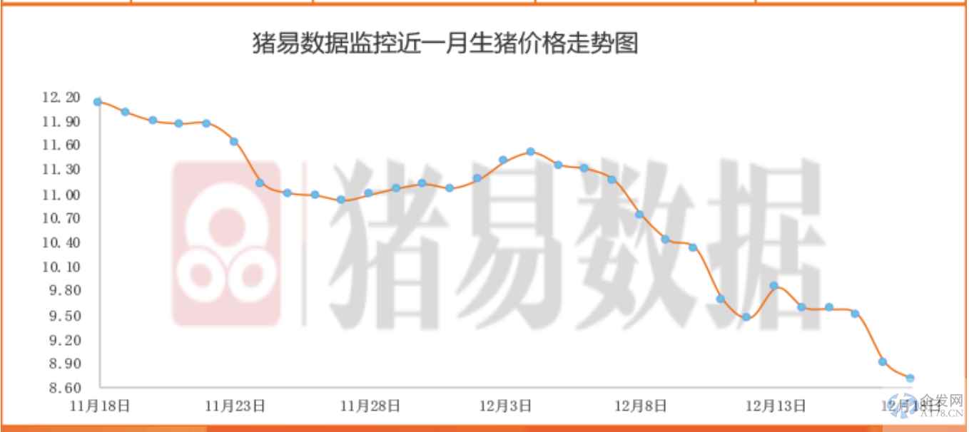 悲观情绪蔓延 猪价跌回一年前!业内:二育出栏进度已过半 悲观情绪蔓延 猪价跌回一年前!业内:二育出栏进度已过半