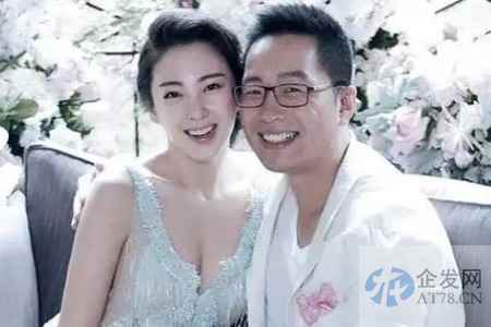 “前夫哥”袁巴元商业滑铁卢：持股公司被执行金额超2亿