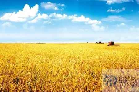 农业农村部公布农业执法保障粮食安全十个典型案例