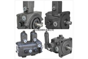 JUNTAI液压油泵VP-SF-30-D JUNTAI液压油泵VP-SF-30-D