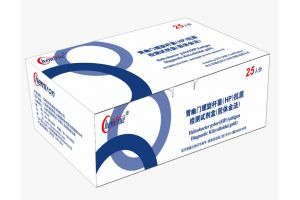 幽门螺旋杆菌抗原检测试剂生产厂家上海凯创生物 幽门螺旋杆菌抗原检测试剂生产厂家上海凯创生物