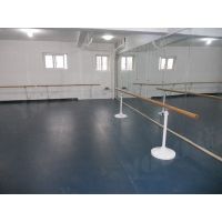 舞蹈地板舞台舞蹈教室专用防滑耐磨高弹力PVC塑胶舞蹈地板