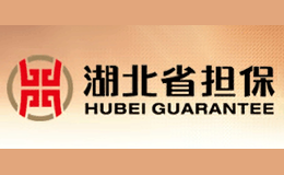 湖北省担保品牌