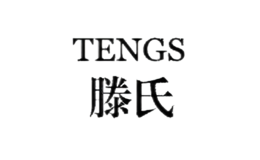 滕氏tengs品牌