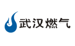 武汉燃气品牌