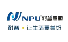 NPU耐普