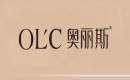 奥丽斯化妆品