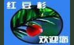 红豆杉品牌