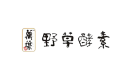 野草酵素万叶品牌