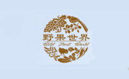 野果世界品牌