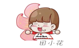 田小花螺蛳粉品牌