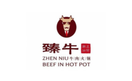 臻牛潮汕牛肉火锅品牌