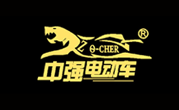 中强电动车品牌