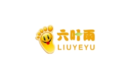 六叶雨品牌