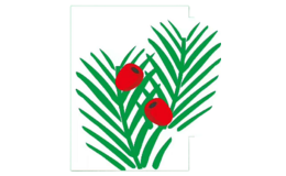 梵洛姿红豆杉酵素浴