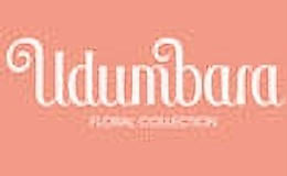 优婵蓓雅化妆品品牌