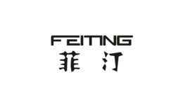 菲汀对讲机品牌