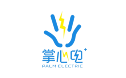 掌心电