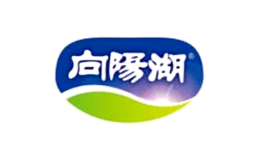 向阳湖品牌