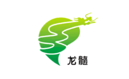 龙髓Longsui品牌