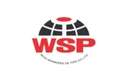 瑞奥物联Rayonics品牌