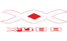 许巴XUBA