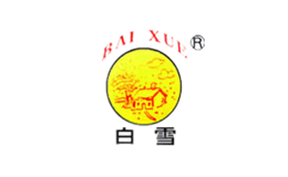 白雪涂料BAIXUE品牌