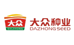 大众DAZHONG品牌