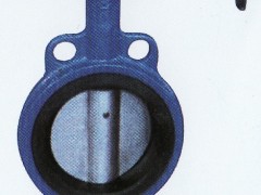 供应各尺寸蝶阀